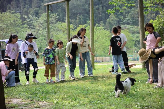 生态环境、自然、春、游客、乡村旅游
