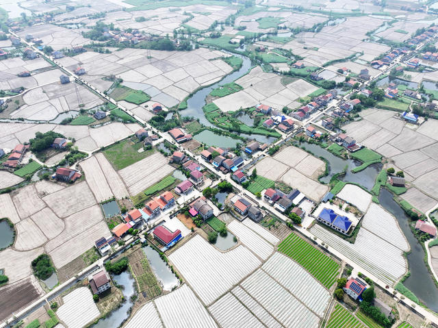 澧阳平原  第一粮仓  早稻田  银湖  