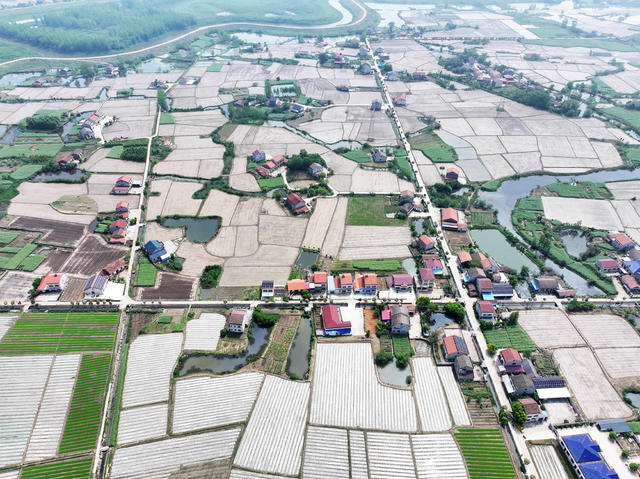 澧阳平原  第一粮仓  早稻田  银湖  