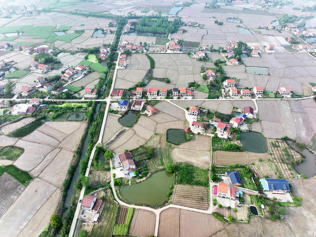 澧阳平原  第一粮仓  早稻田  银湖  