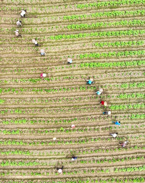 春耕
春管
春种
道县