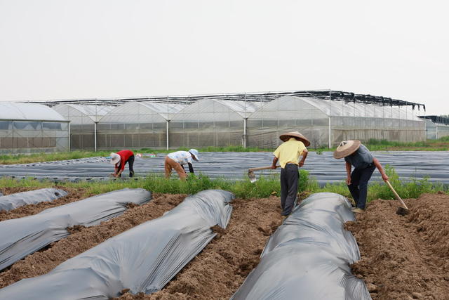 乡村生态振兴 环境保护 春耕生产