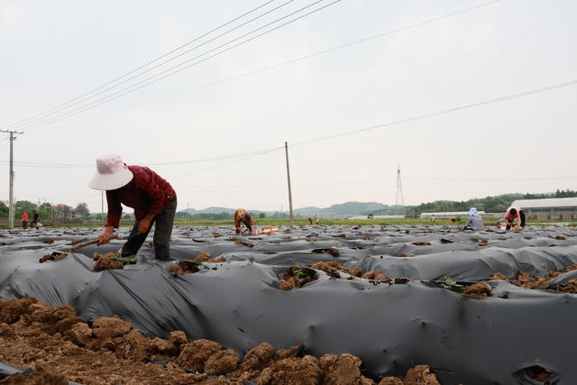乡村生态振兴 环境保护 春耕生产