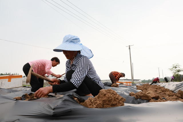 乡村生态振兴 环境保护 春耕生产