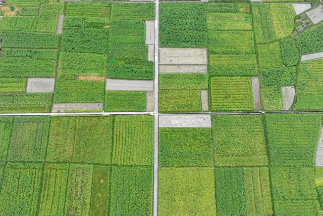 环境、生态、春天、绿水青山、田园、民居、乡村、春耕