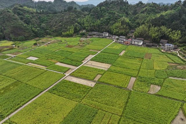 环境、生态、春天、绿水青山、田园、民居、乡村、春耕