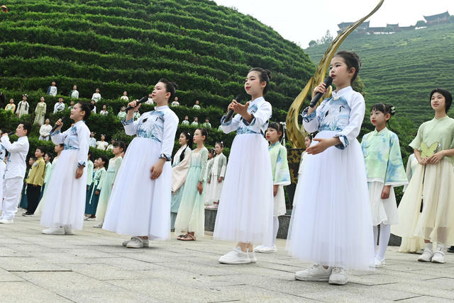 茶文化  传统文化  吟诵 茶园  少儿 教育 学生 田间课堂 诗词