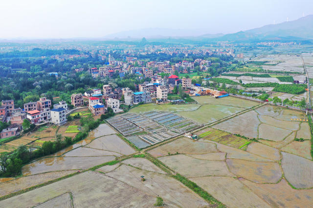 蓝山：早稻插秧忙