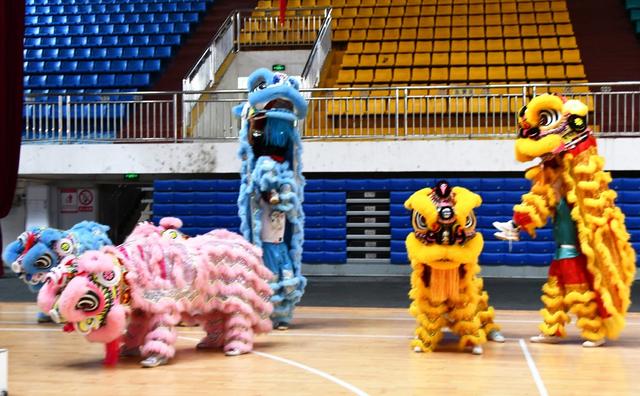 舞狮校园  传承文化