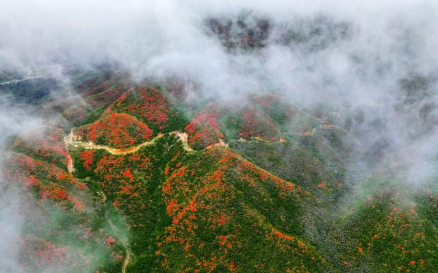 湖南  常宁  天堂山  美景