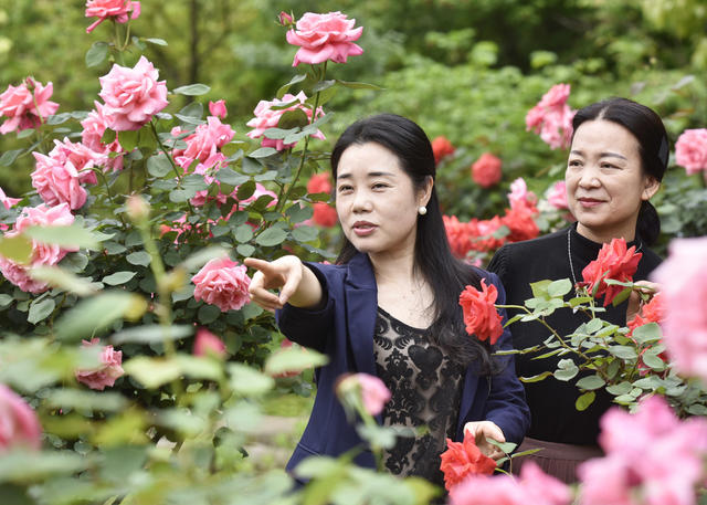 嘉禾：花开引客来