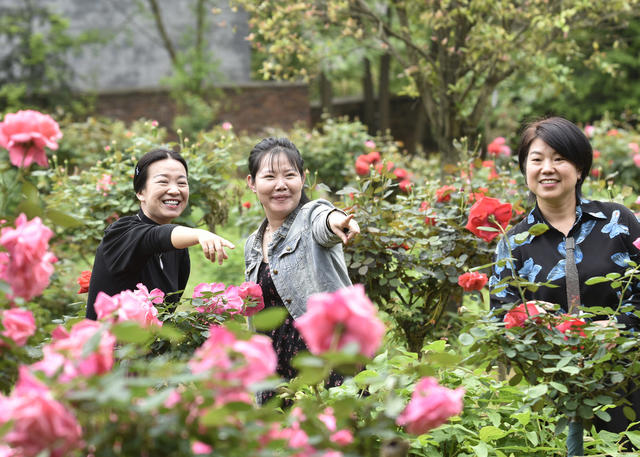 嘉禾：花开引客来
