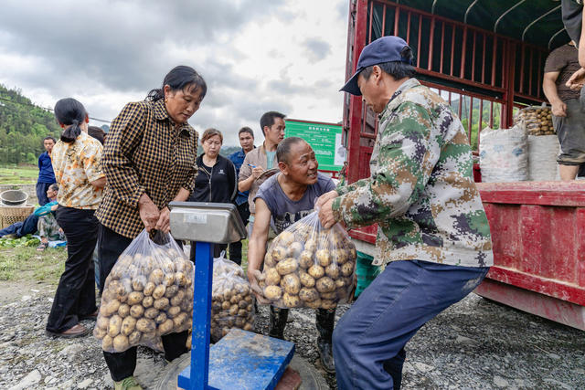 吉首 马铃薯 丰收 生姜 白云贡米