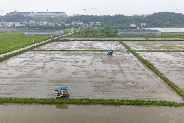 娄底 谷雨