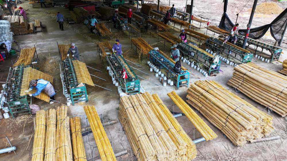 竹子、产业、加工、以竹代塑、竹制品