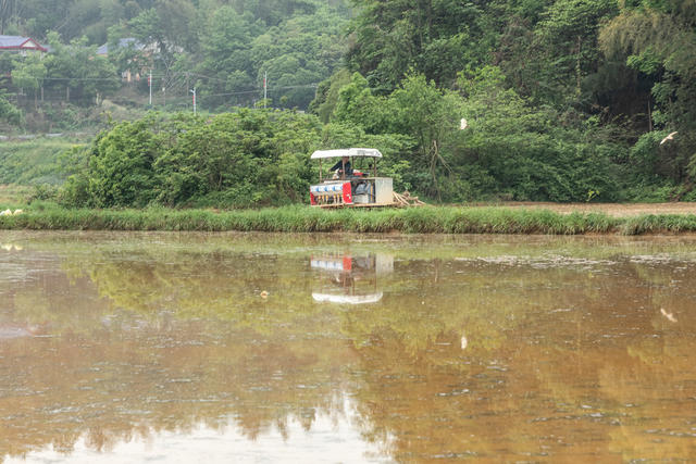 谷雨将至  农事正忙