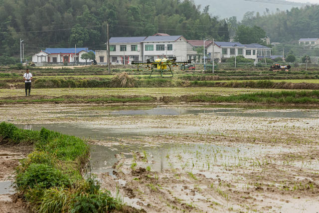谷雨将至  农事正忙