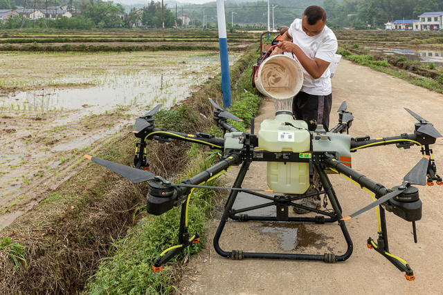 谷雨将至  农事正忙