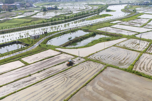 娄星区 谷雨