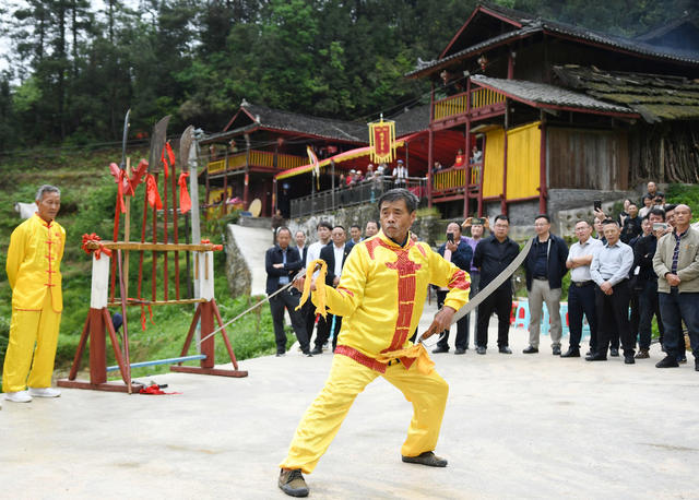 人大 代表团 调研  助力 乡村 振兴