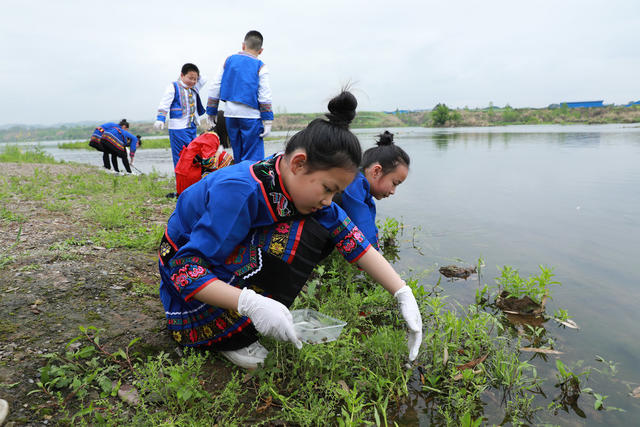 湿地科普教育  研学活动 双减教育  小学教育  麻阳锦江小学 观鸟活动