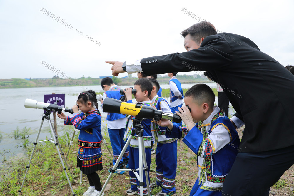 湿地科普教育  研学活动 双减教育  小学教育  麻阳锦江小学 观鸟活动