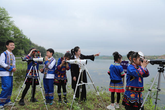 湿地科普教育  研学活动 双减教育  小学教育  麻阳锦江小学 观鸟活动