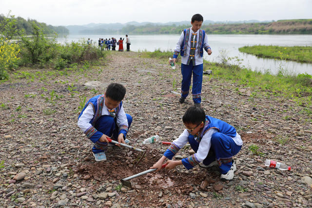 湿地科普教育  研学活动 双减教育  小学教育  麻阳锦江小学 观鸟活动