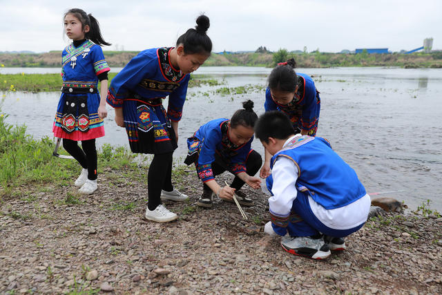 湿地科普教育  研学活动 双减教育  小学教育  麻阳锦江小学 观鸟活动