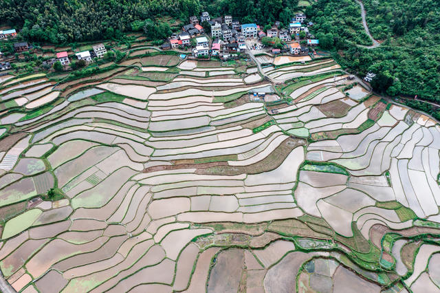 梯田