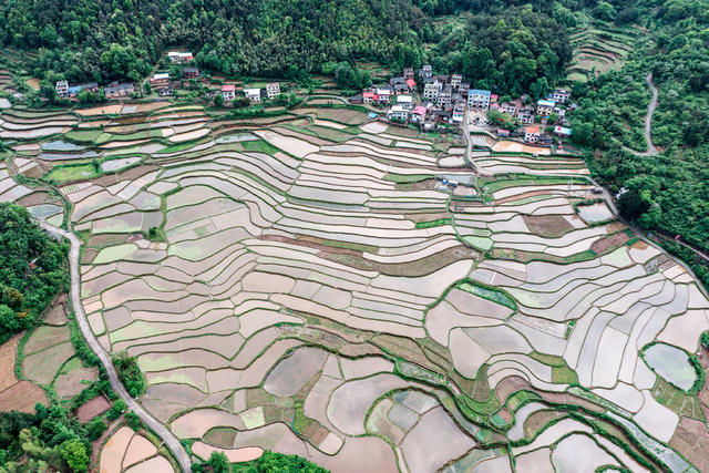 梯田