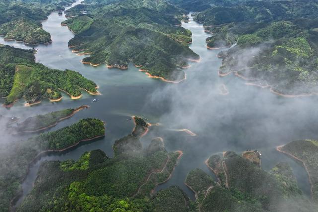 湿地、生态、自然、湖、春、薄雾、青山