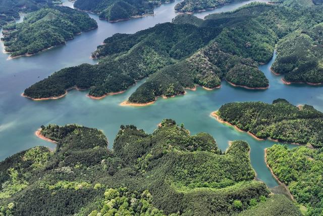 湿地、生态、自然、湖、春、薄雾、青山