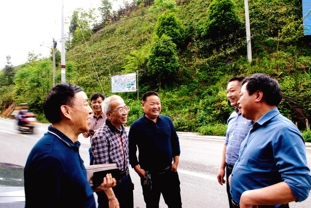武冈市   通道县   中药材产业  学习取经