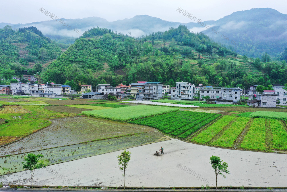 湖南 湘西 龙山 耕作 云雾 青山 村庄 田园 耕耘 画