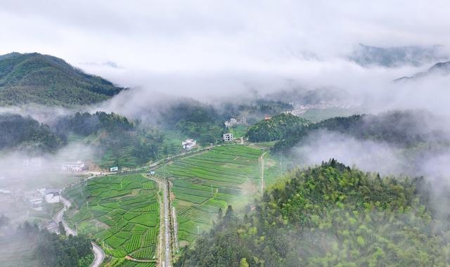 湖南  常宁  乡村  美景
