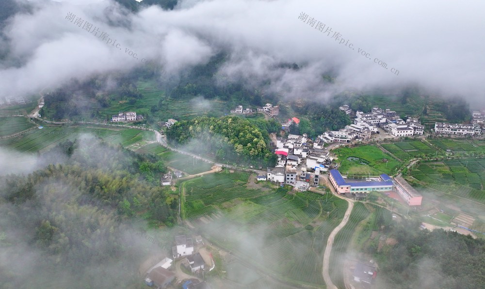 湖南  常宁  乡村  美景
