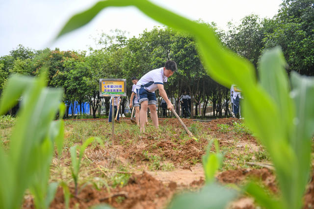 劳动
教育
道县
