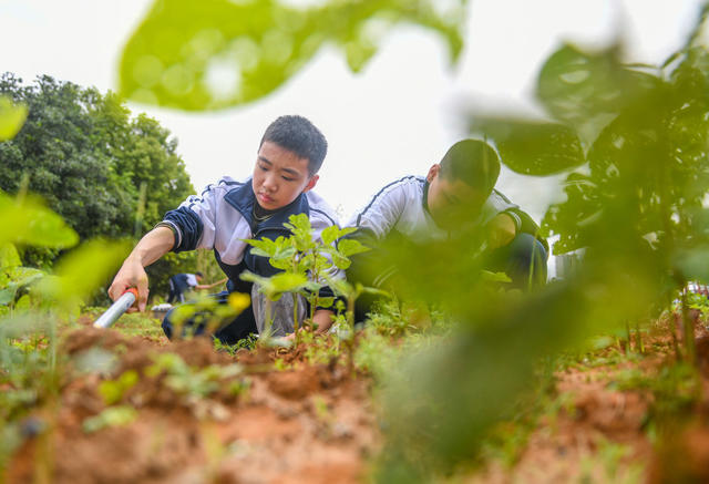 劳动
教育
道县