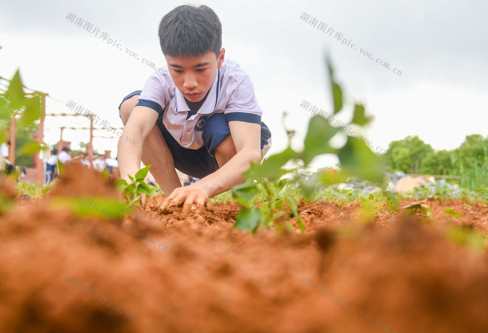 劳动
教育
道县