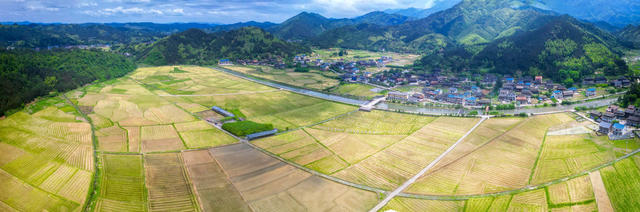 通道 山峦 河流 公路 黄 油菜 映 美景