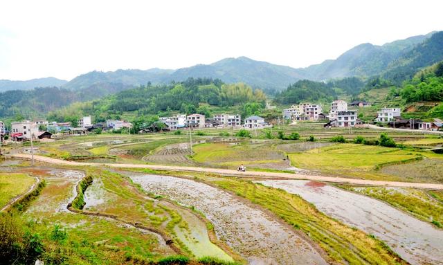 劳作  水田 新宁 村民 翻田