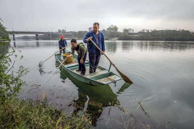 巡河   净滩