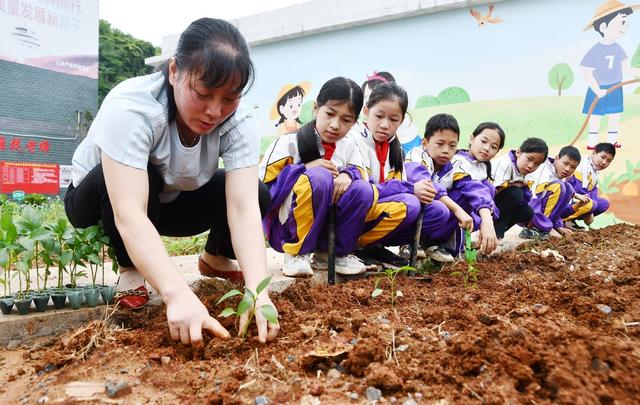 劳动课堂学技能