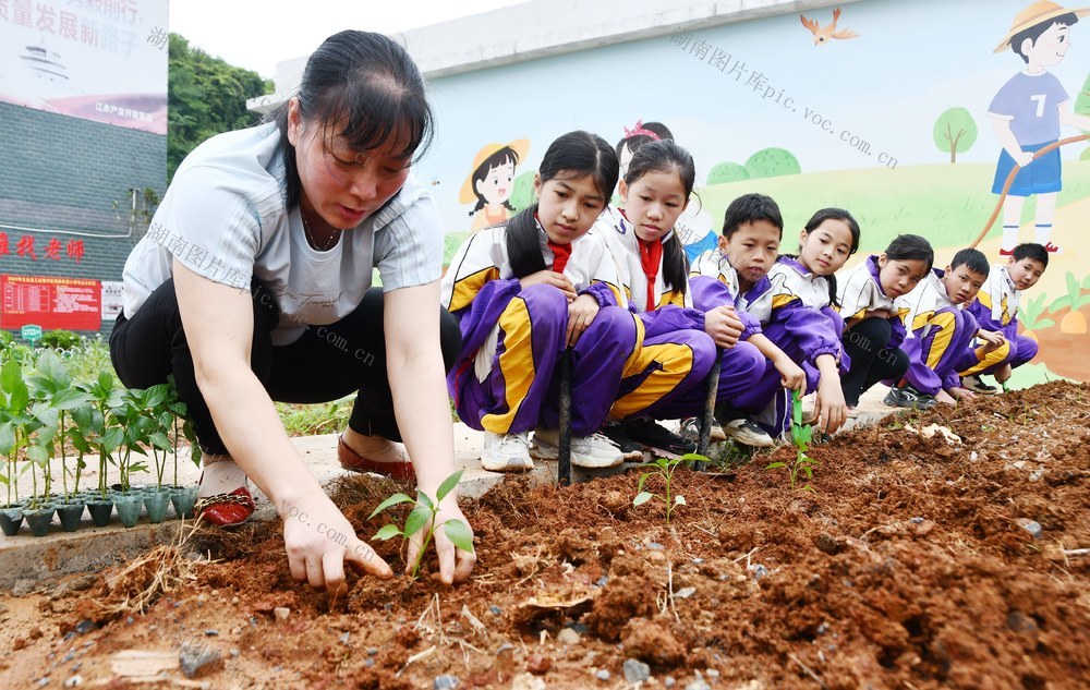 劳动课堂学技能