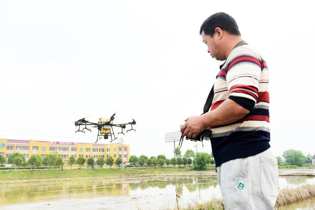 农业  早稻生产  病虫害防治  福寿螺  植保无人机  智能化  精细化
