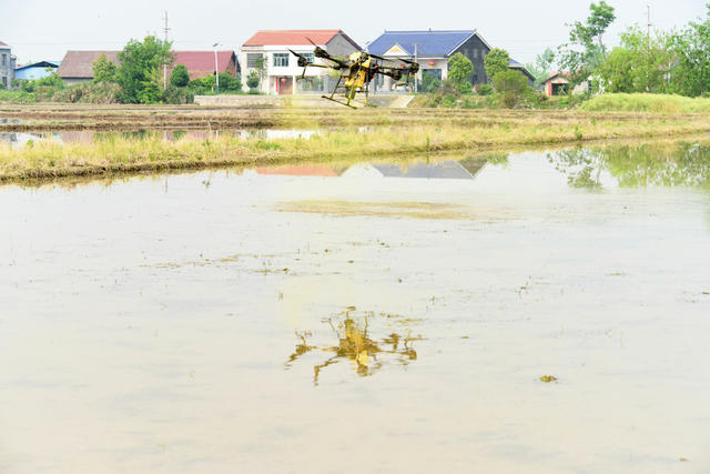 农业  早稻生产  病虫害防治  福寿螺  植保无人机  智能化  精细化