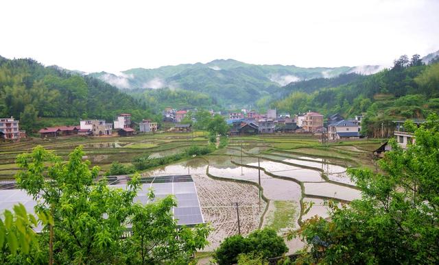 乡村 画卷 成趣