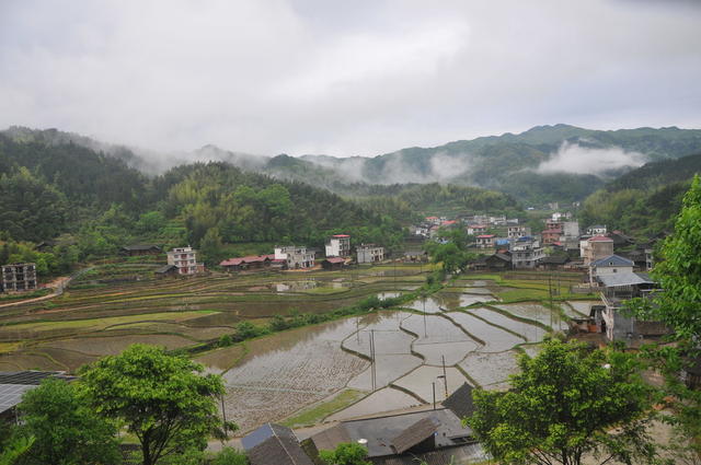 乡村 画卷 成趣