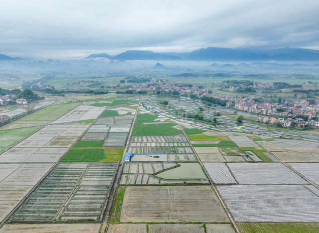 春耕
风光
田园
道县
水墨画卷
